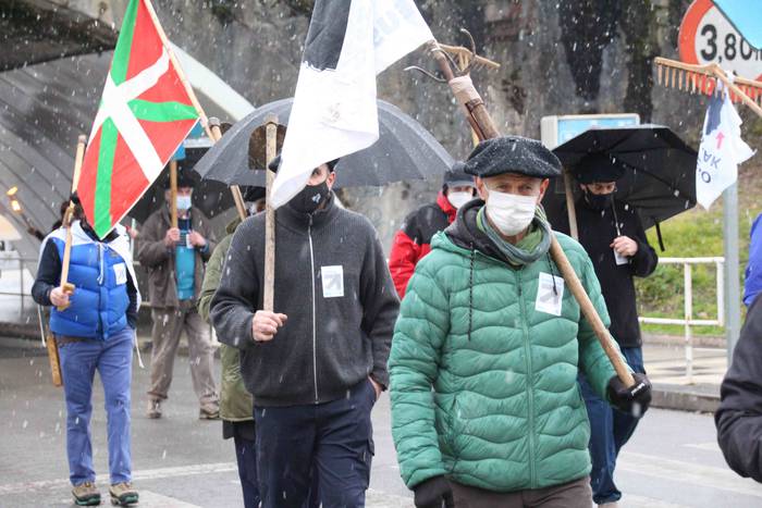 Aurreikuspenak gainditu ditu 7 1610219466012