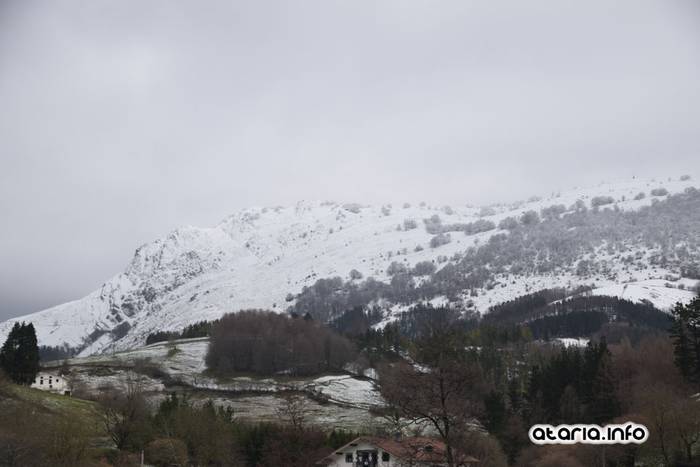 lehen elurtea 2016 1 1455547611464