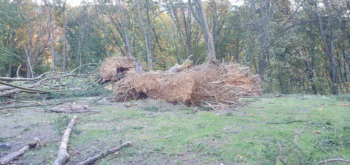 Errepidek 1 1603266688359