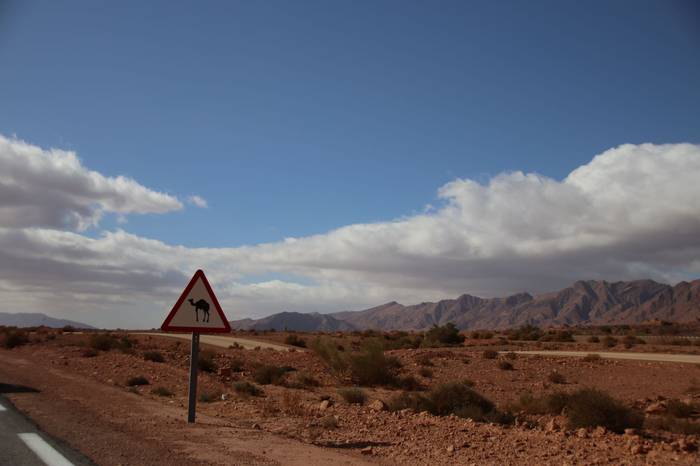 Tolosaldetik Saharako errefu 8 1638802286589