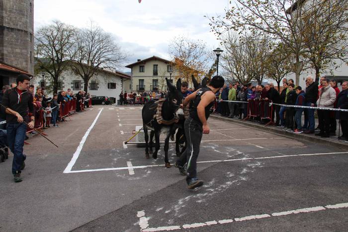 Idiek irabazi diete astoei A 19 1541962161268