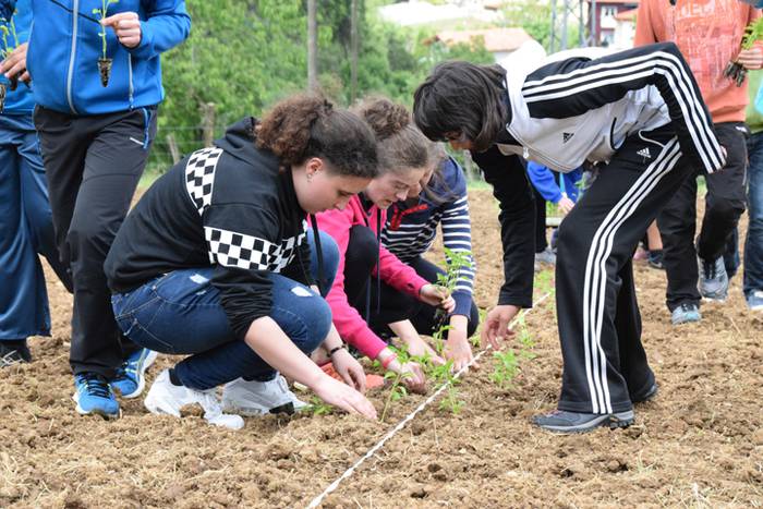 Piper landaketa uzturpe gureak  789 taldea 28 1464793776768