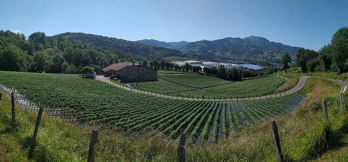 Arraun egin dezagun elkarrekin lehen sektorea babestuz, euskal  gizartearen alde