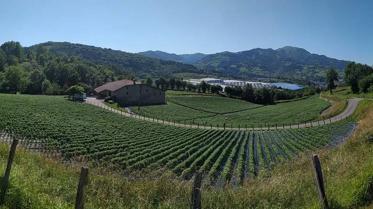 Arraun egin dezagun elkarrekin lehen sektorea babestuz, euskal  gizartearen alde