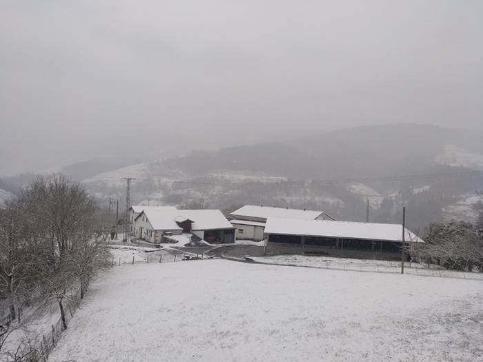 Argazki galeria: Tolosaldea, 58 1519810026093