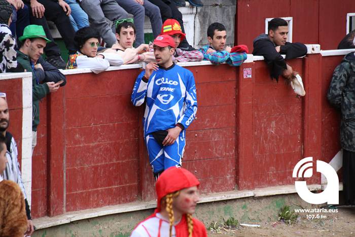 Zezenak adarrak okerrak ditu 95 1488277711638