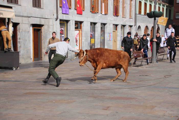 Soka zintzilik eta muturrak  54 1646140706626