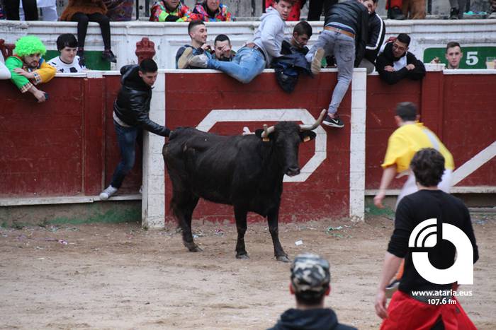 Zezenak adarrak okerrak ditu 23 1488277286630