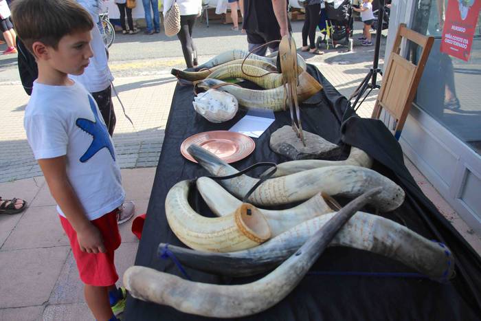 Zizurkil herrigunea Azoka Be 5 1570974675049