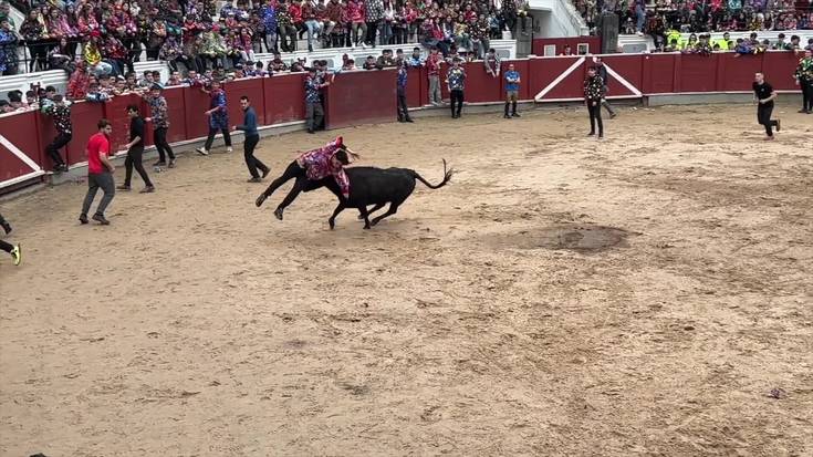 Zezen plazako irudiak