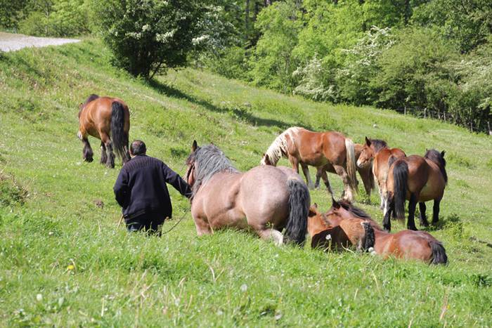 Larre irekiera Larraitzen 20 74 1493640111436