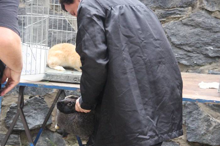 Inork ez du galdu nahi izan 23 1509293677471