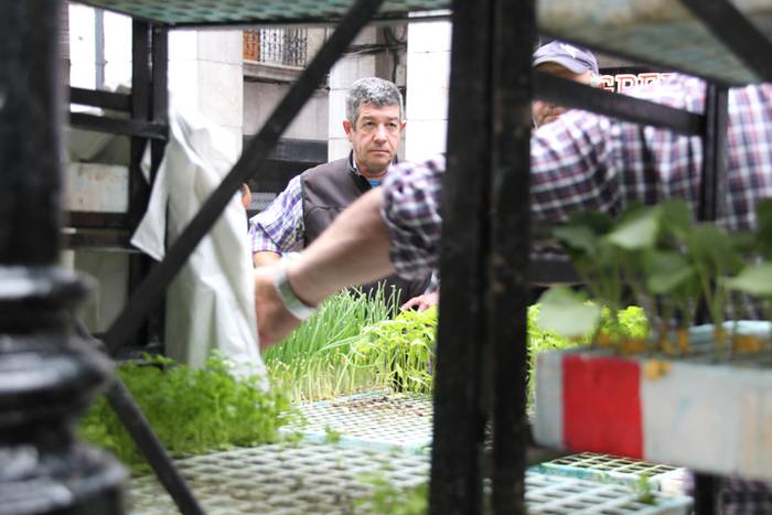 Lore eta Landare Azoka Tolosan 2016 2 1465051782312