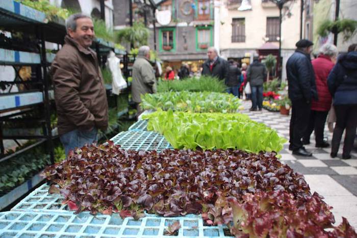 Tolosako Gabonetako azoka be 8 1514054041175