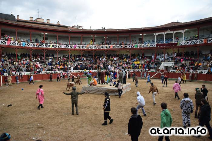 Pattar zezena 2016 30 1455012392794