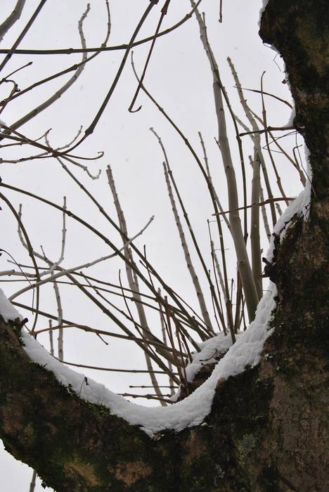 Argazki galeria: Tolosaldea, 29 1519809830305