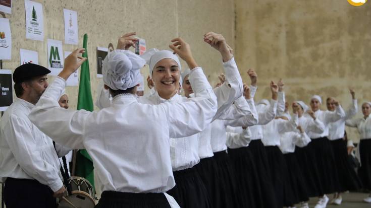 Bedaioko ingurutxoa, hutsik egiten ez duen zita