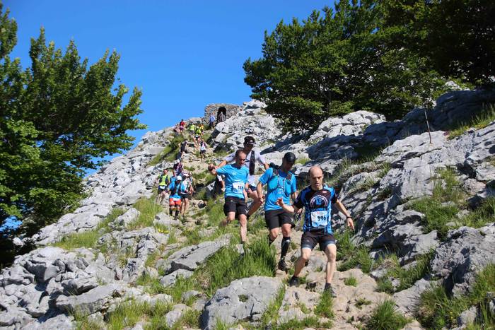 T3T, Hernio 2019 58 1560688431980