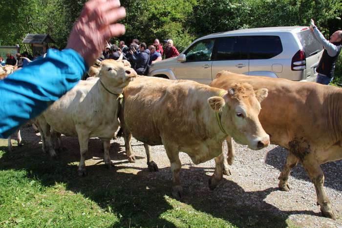 Larre irekiera Larraitzen 20 80 1493640148915