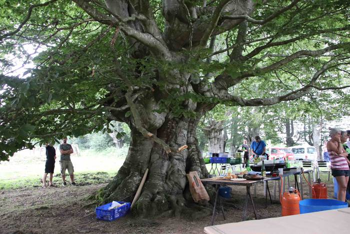 Azken Muga 2019. Inaugurazio 40 1564079129858