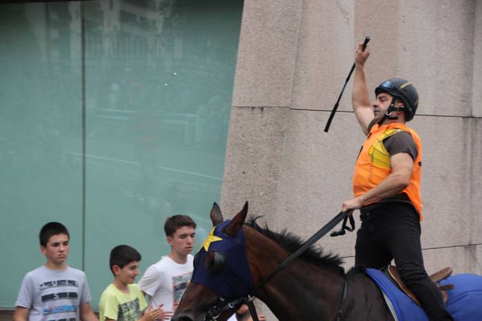 Zaldi gainean lasterka Abalt 15 1498413105419