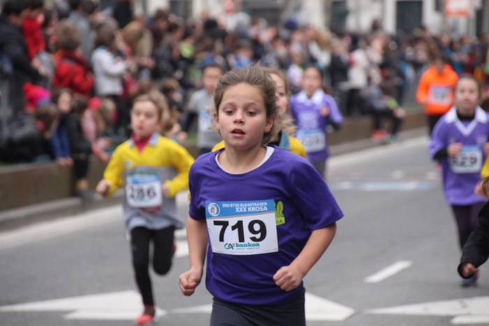 Ero-Etxe kros arrakastatsua  133 1485093564384