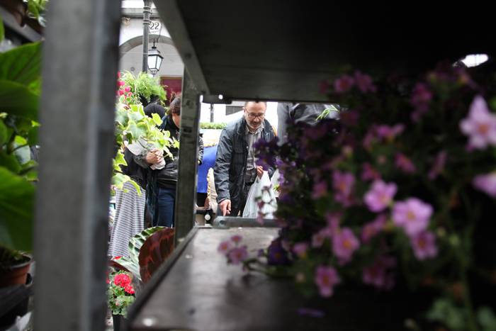 Eta liliek Tolosa ere amets 23 1495290327053