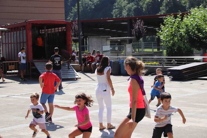 Festak hasteko, poniak eta z 47 1566994007926