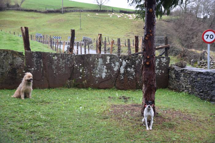 San Anton eguna, 2018, Beras 3 1516185078997