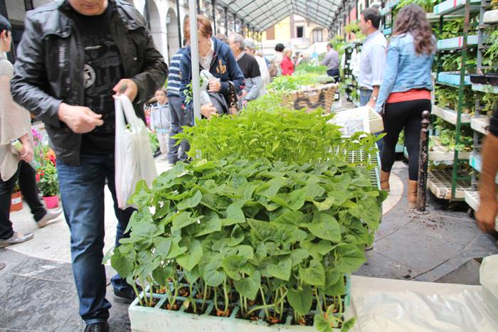 Lore eta Landare Azoka Tolosan 2016 7 1465051784329