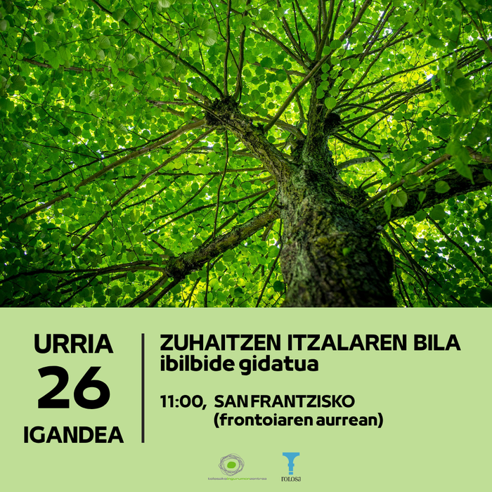 Ibilde gidatua