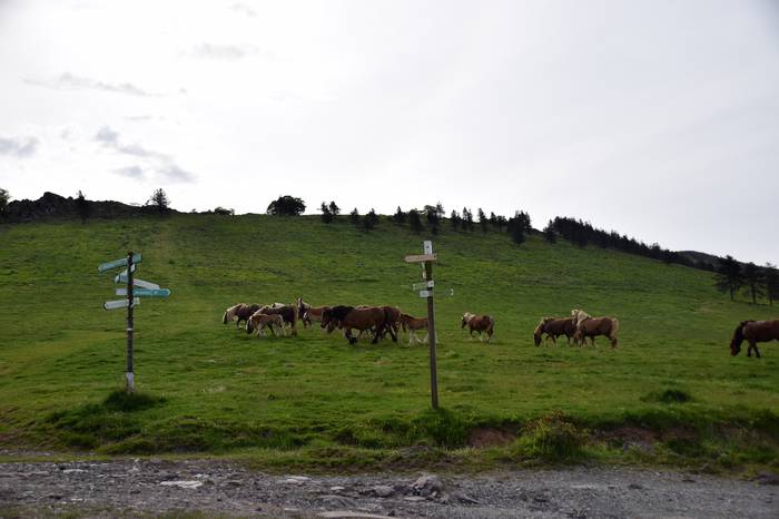 BERASTEG LARRE IREKIERA 2022 12 1652525077283