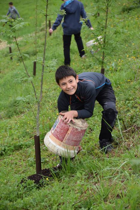 Zuhaitz eguna Ibarra 6 1460992035160