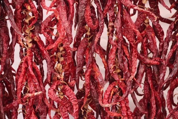 "Ibarra, Azoka eta Piparra" 9 1537102482773