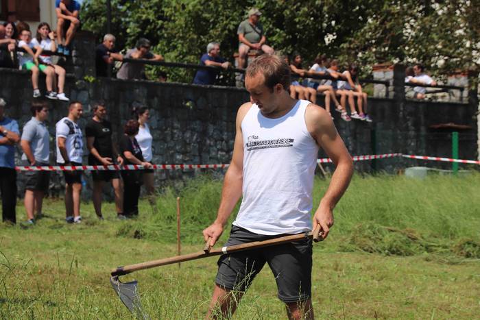 Erabaki dira Euskal Herriko  61 1532870738313