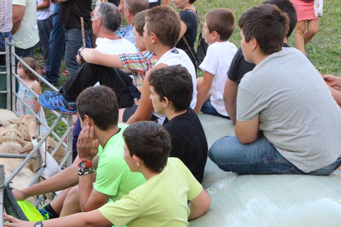 Artzaina eta txakurraren artea Amezketan 25 1472322458587