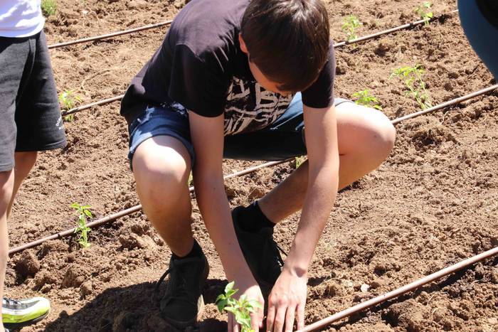 Erein dituzte lehen piperrak 30 1559303478311