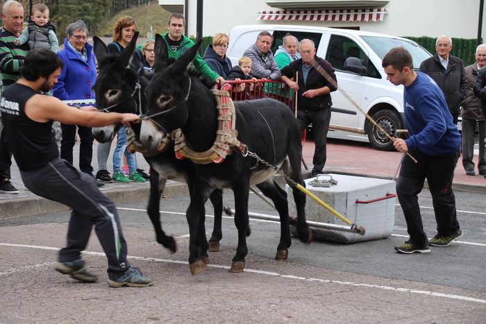 Idiek irabazi diete astoei A 12 1541962048508