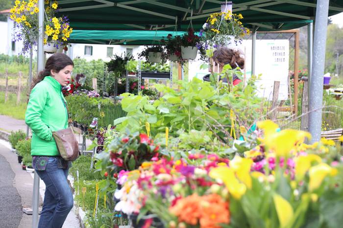 Alegako azoka ekologikoa 8 1462113308081