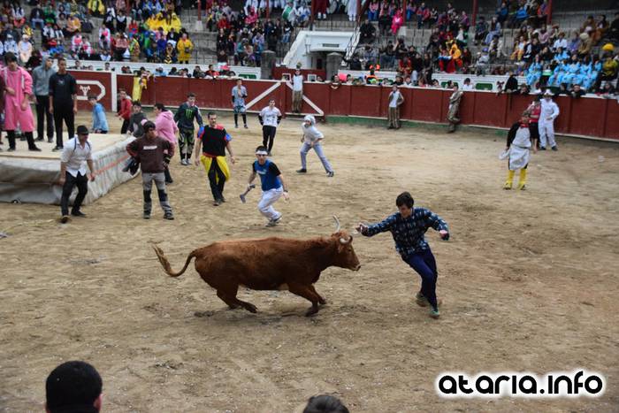 Pattar zezena 2016 41 1455012398081