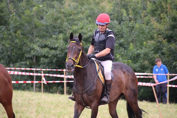 Zaldiak lasterka, gazteak desafioan 11 1472406541475