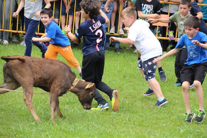 Eskola txiki eguna Ikaztegieta 73 1465750693063