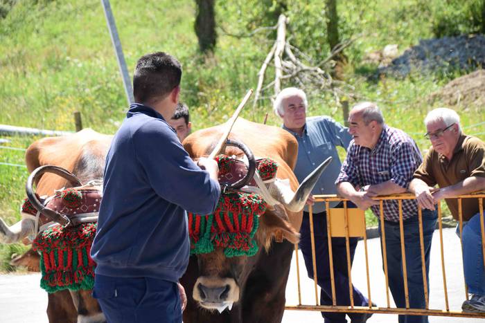 San Isidroez gozatu dute 15 1557925567868