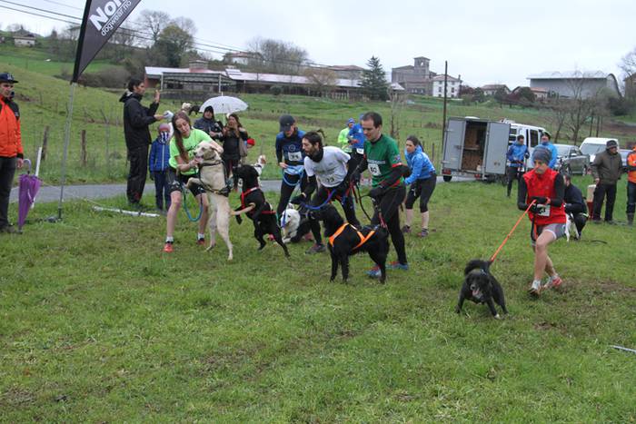 Zizurkil, txakur krosa 27 1490473961131