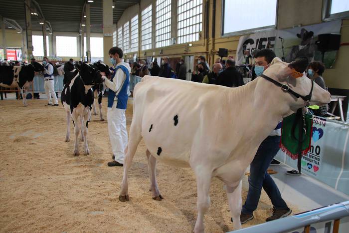 XII. Euskal Herriko Frisoi T 1 1637418663081