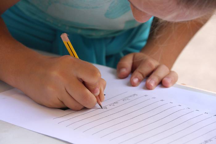 Muskerraren eguna Asteasun 11 1495373268422