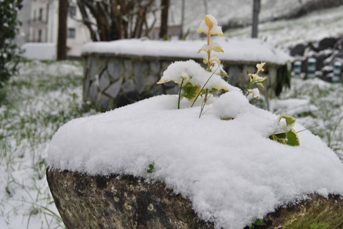 Argazki galeria: Tolosaldea, 30 1519809839430