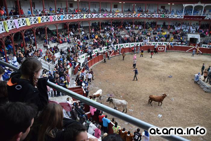 Pattar zezena 2016 53 1455012403053