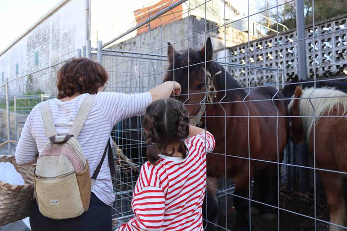 Zer ikusi izan da Bedaion 3 1668343693770