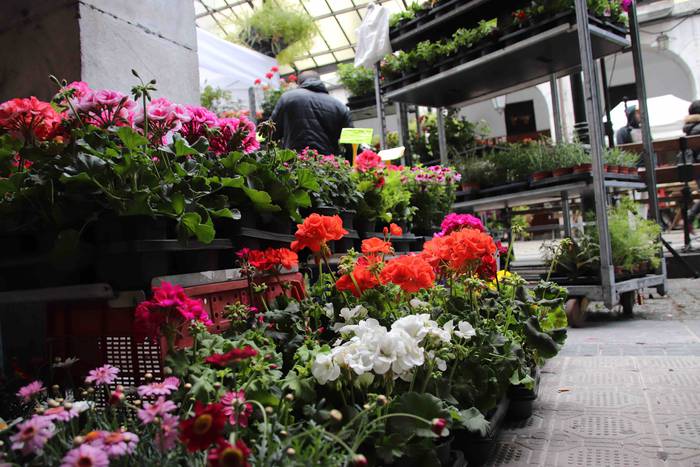 Lore eta Landare Azoka 2019 16 1558171902414